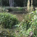 La Grenouillette