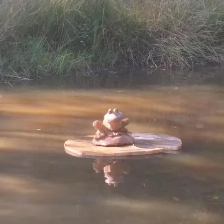 La Grenouillette Chalet Mirwart