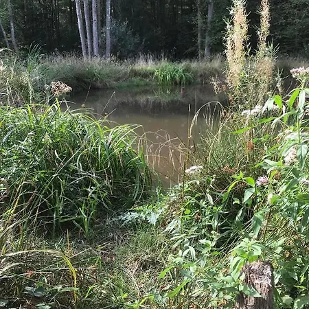 La Grenouillette