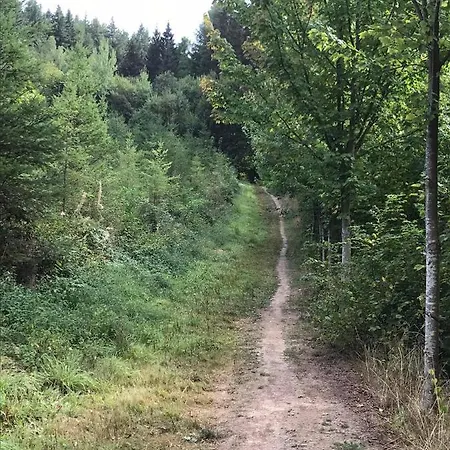 Chalet La Grenouillette Mirwart