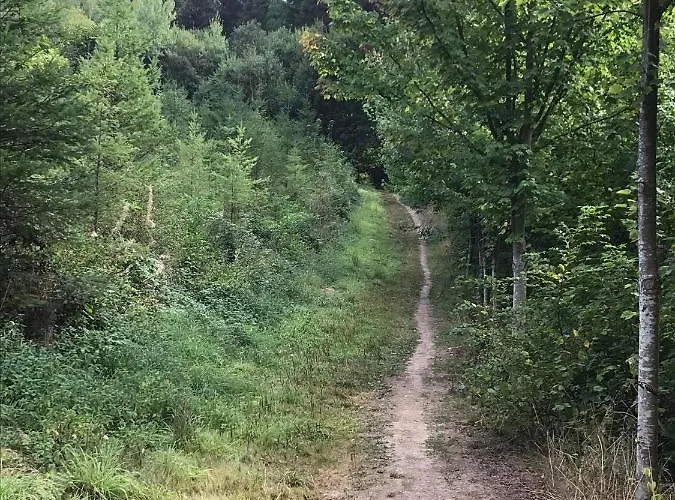 Dağ evi La Grenouillette Mirwart