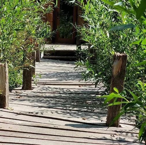 La Grenouillette Dağ evi Mirwart